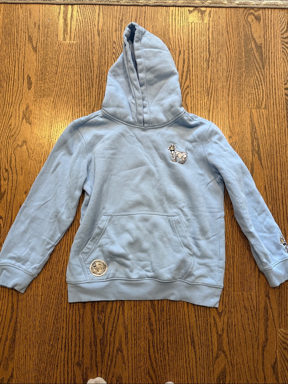 Kids Light Blue GOAT Hoodie